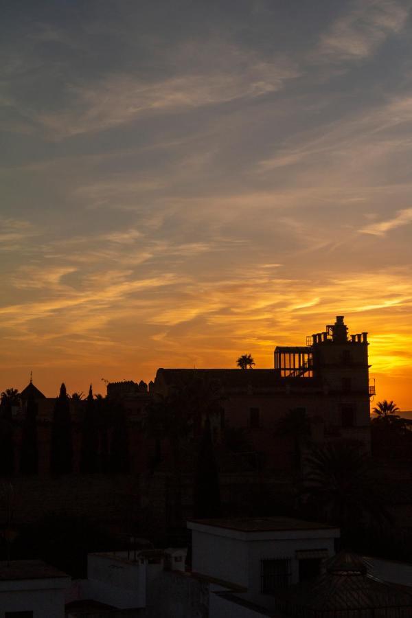 Jerez Centro 5 Dormitorios Terrazas Con Vistas Alcazar Y Plaza Arenal Херес-де-ла-Фронтера Экстерьер фото